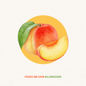 越南女子别动队电影完整版
