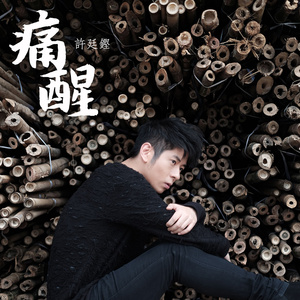 越南女子别动队电影完整版
